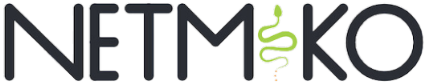 Netmiko logo