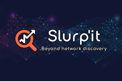 Network Discovery with Slurp'it