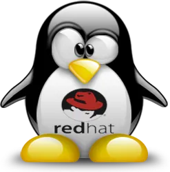 How to Build an OpenStack Lab using RDO Packstack