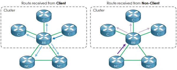 What is a BGP Route Reflector?